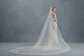 Luminous Veil 2