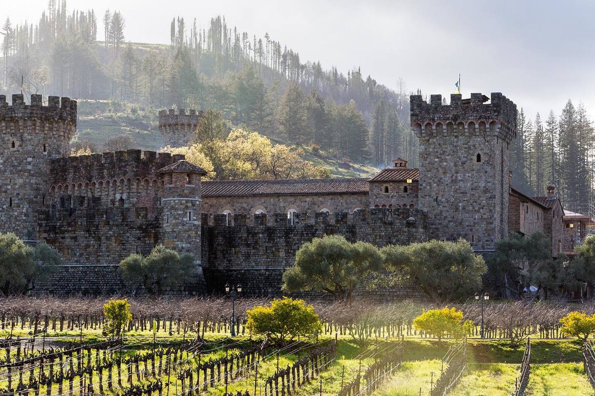 Experience the transformative beauty of a bridal immersion where you design your own custom wedding dress with Nancy Vuu in a castle beside the vineyards. 
